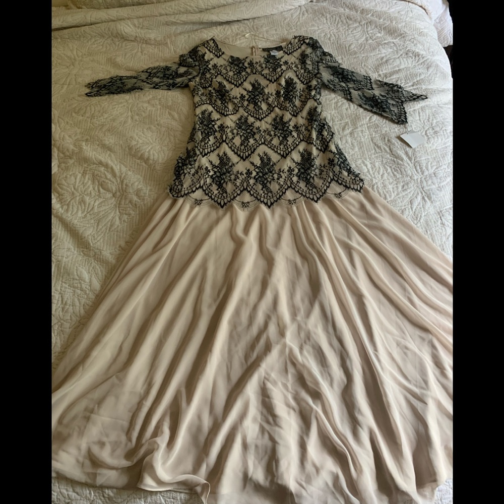 Alex Evenings lace chiffon gown